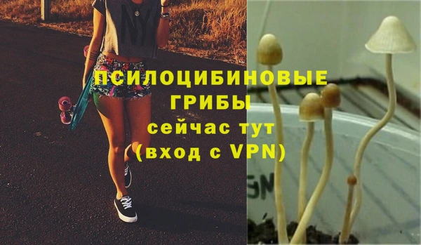 СК Белоозёрский