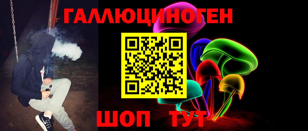 Галлюциногенные грибы Psilocybe Сланцы