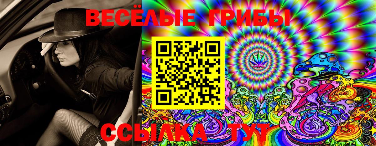 Псилоцибиновые грибы ЛСД  Псилоцибиновые грибы Psilocybe  Сланцы  Вход с VPN 