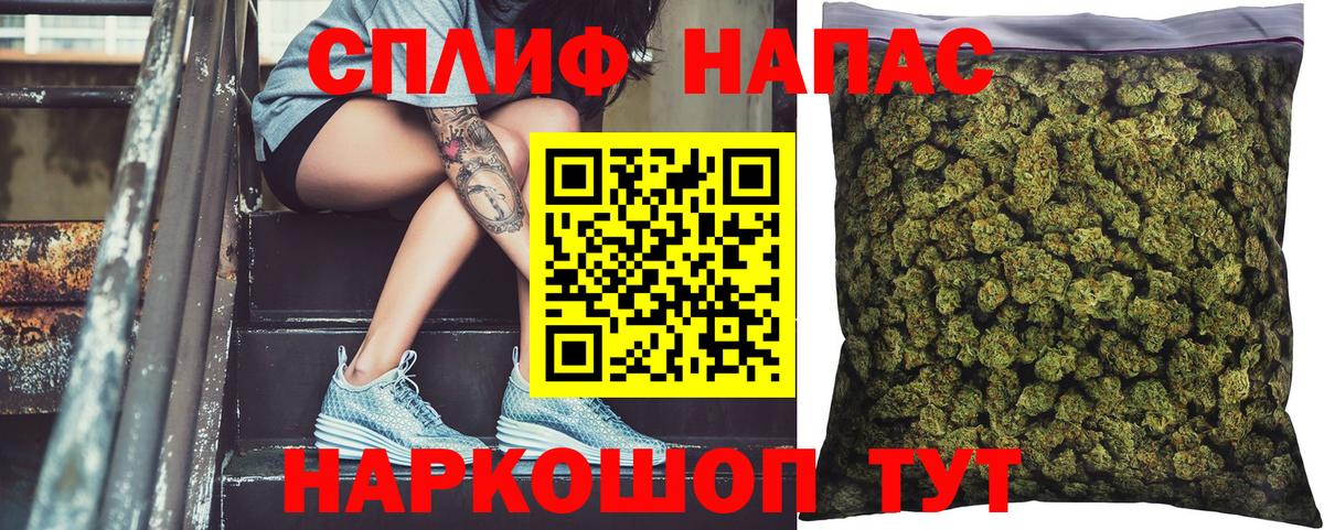 Бошки марихуана план  Бошки марихуана планчик  Бошки марихуана тримм  Марихуана Ganja  Вход с VPN  Сланцы 